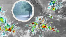 ¿Habría un ciclón tropical en Veracruz la próxima semana? Esto indica PC