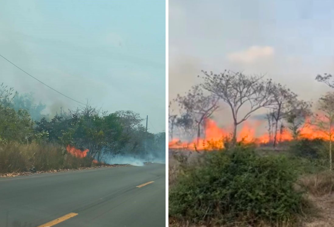 Incendio forestal alarma a habitantes de Tierra Blanca; altas temperaturas complican la situación