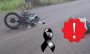 Motociclista muere en la carretera Las Trancas–Coatepec, esto se sabe