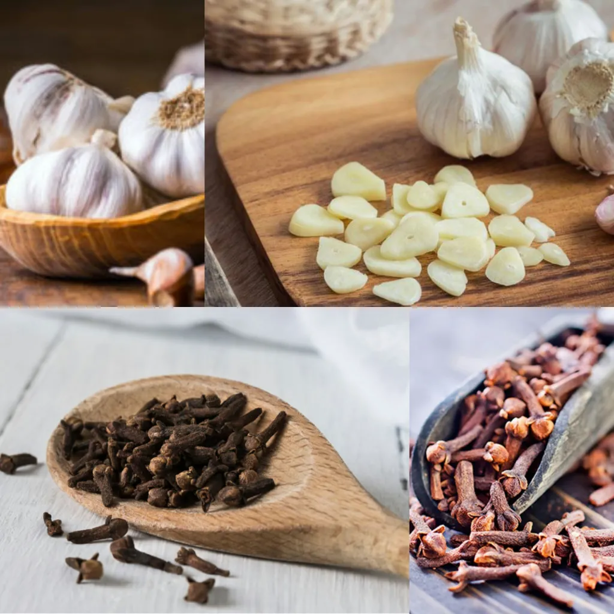 3 remedios naturales que sirven para evitar plagas en las plantas de tu casa