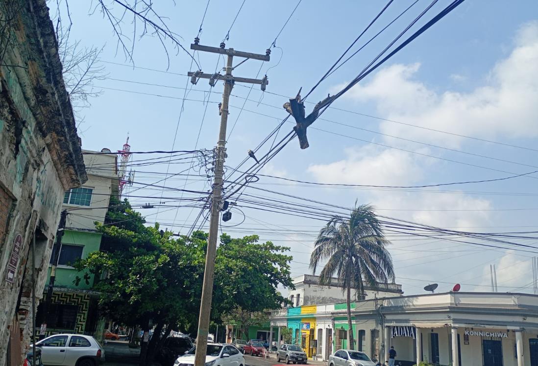 Alertan por pedazo de árbol que se sostiene del cableado eléctrico en calles de Veracruz