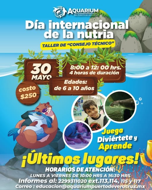Aquarium de Veracruz 2025: así pueden tus hijos convivir con las nutrias en esta fecha