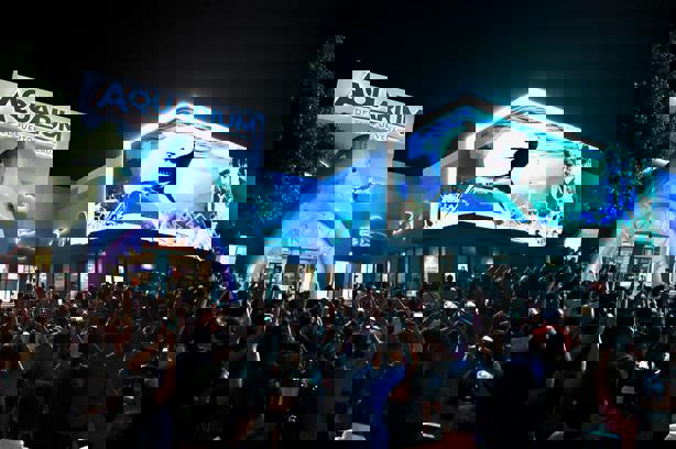 Aquarium de Veracruz 2025: así pueden tus hijos convivir con las nutrias en esta fecha
