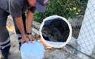 Enorme boa se mete a una casa en Boca del Río y casi se come a tres perritos chihuahua