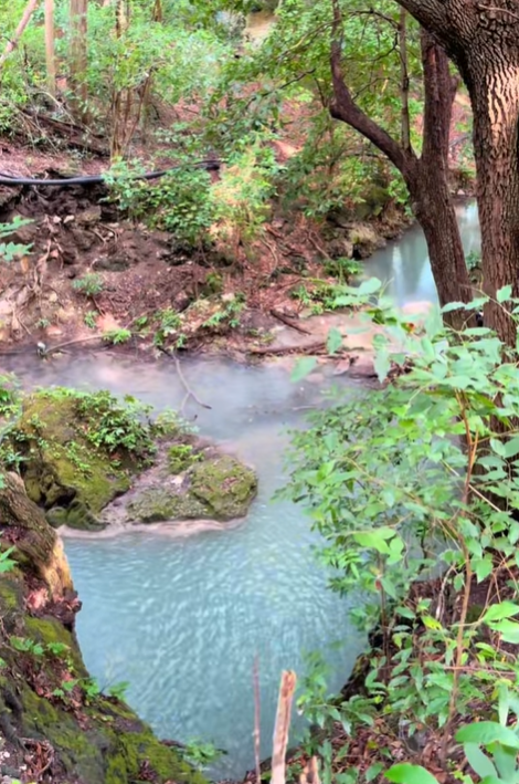¿Lo conocías? El paraíso cerca de Xalapa donde debes caminar en el bosque para llegar (+Video)