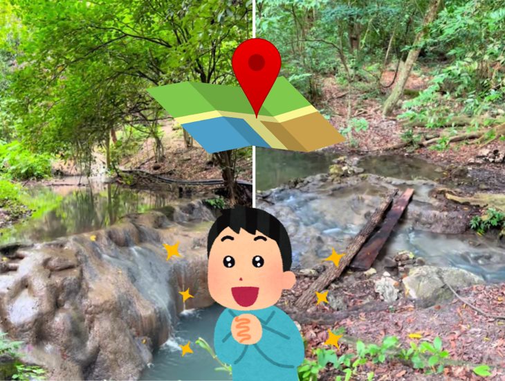 ¿Lo conocías? El paraíso cerca de Xalapa donde debes caminar en el bosque para llegar (+Video)