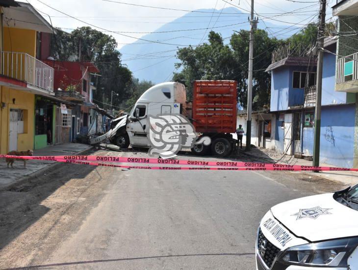 Caos: Tráiler se sale de la autopista y derriba postes en Nogales; daña viviendas (+Video)
