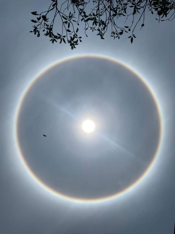 Halo solar sorprende a veracruzanos, así lo captaron | FOTOS