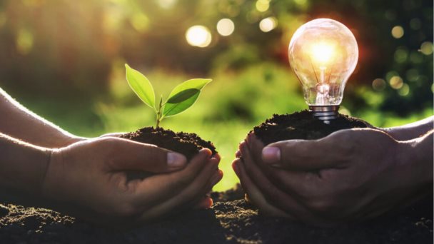 Innovar para transformar la conciencia ecológica