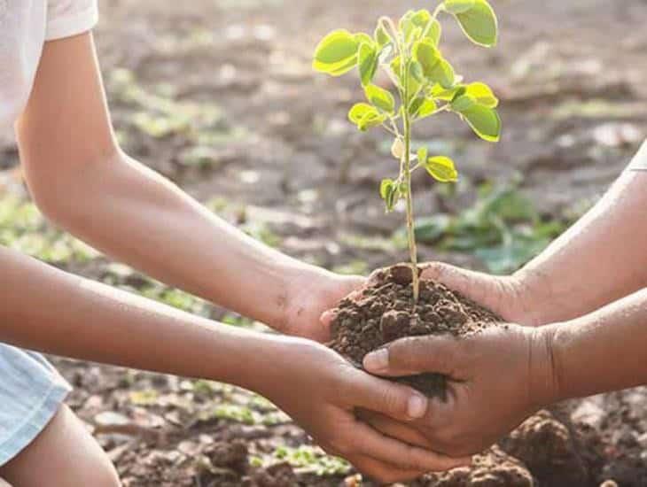 AGENDA AMBIENTAL: Innovar para transformar la conciencia ecológica