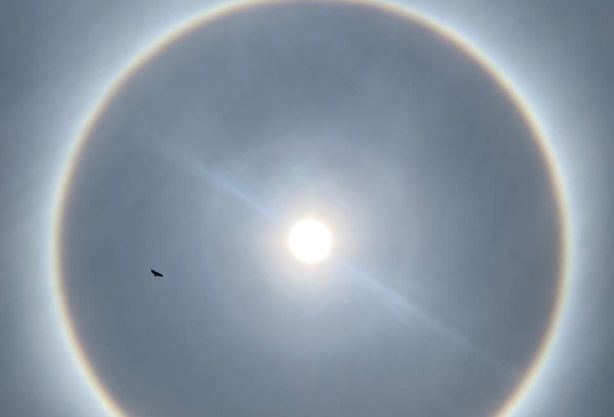 Halo solar sorprende a veracruzanos, así lo captaron | FOTOS