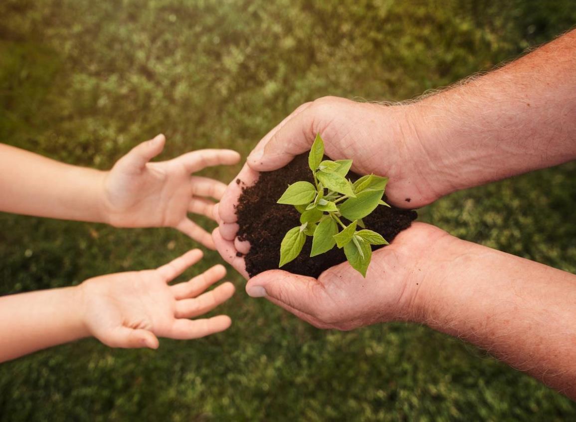 Innovar para transformar la conciencia ecológica