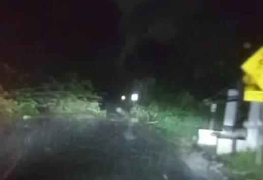 Caos en Xalapa: lluvia, viento y árboles caídos desatan el caos vial