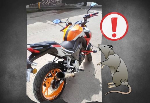 ¿Nadie se dio cuenta? Roban motocicleta deportiva en Fortín