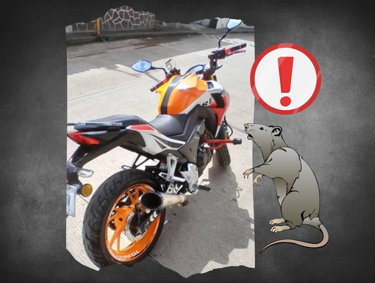 ¿Nadie se dio cuenta? Roban motocicleta deportiva en Fortín