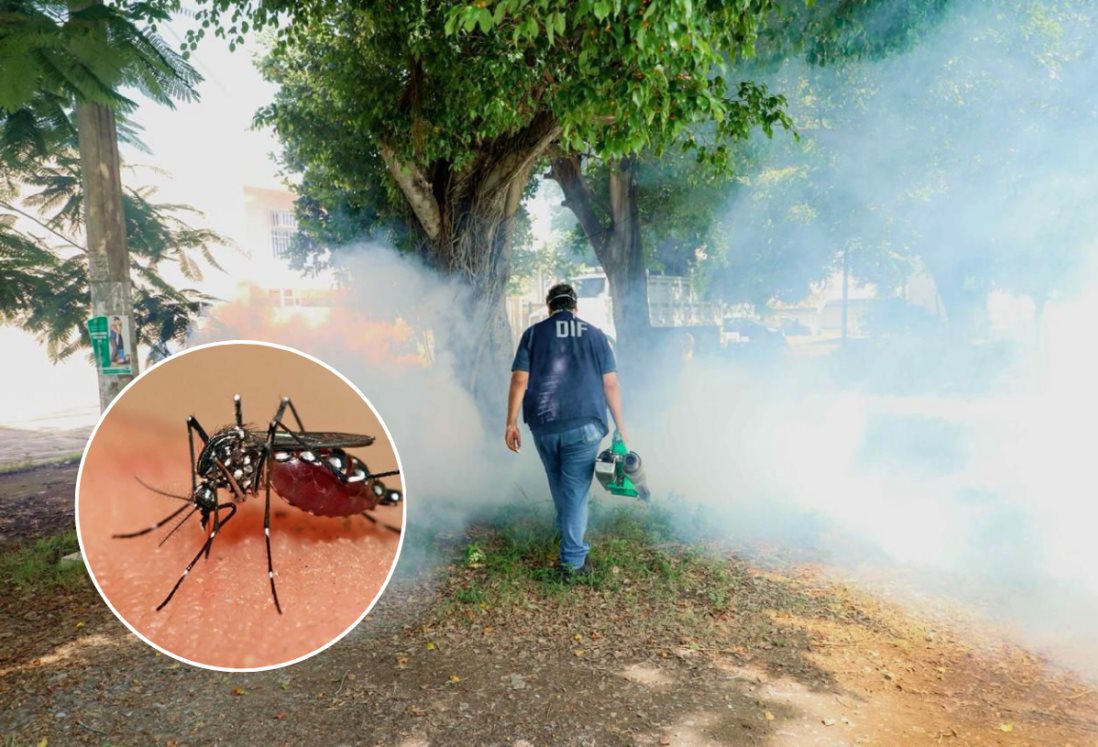 Veracruz reporta 558 casos de dengue: Es el segundo estado con más contagios