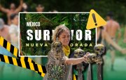 te-puede-interesar