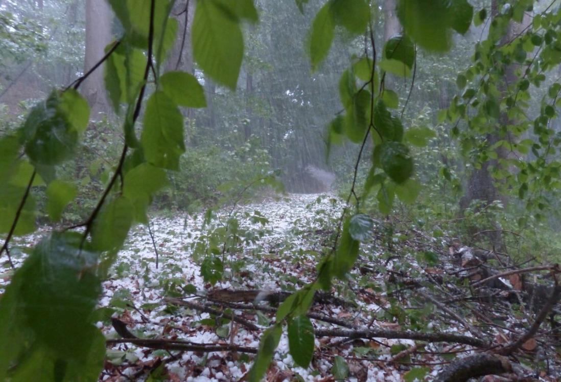 Pronostican caída de granizo para esta zona del estado de Veracruz