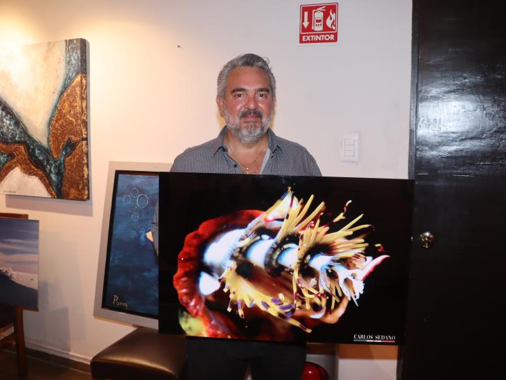 Realizan exposición y subasta con causa ´Naturaleza y Nobleza´