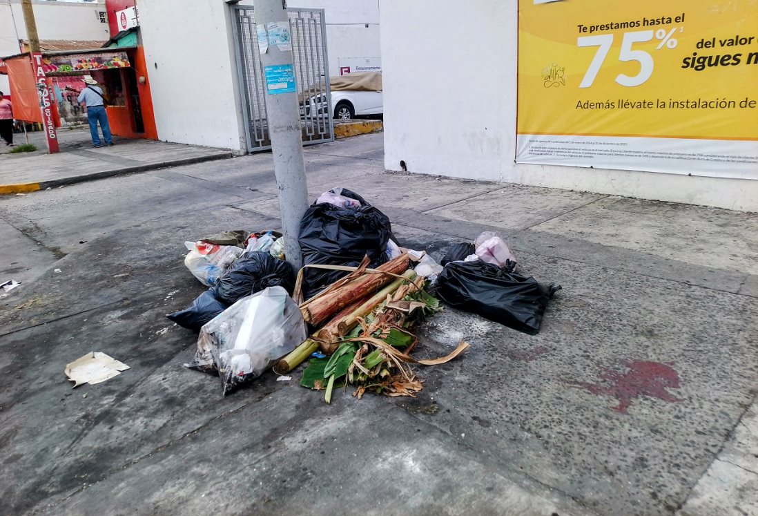 Vecinos de la colonia Formando Hogar denuncian cúmulos de basura sin recoger en plena zona médica