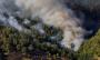 El infierno verde: México registra su peor año de deforestación