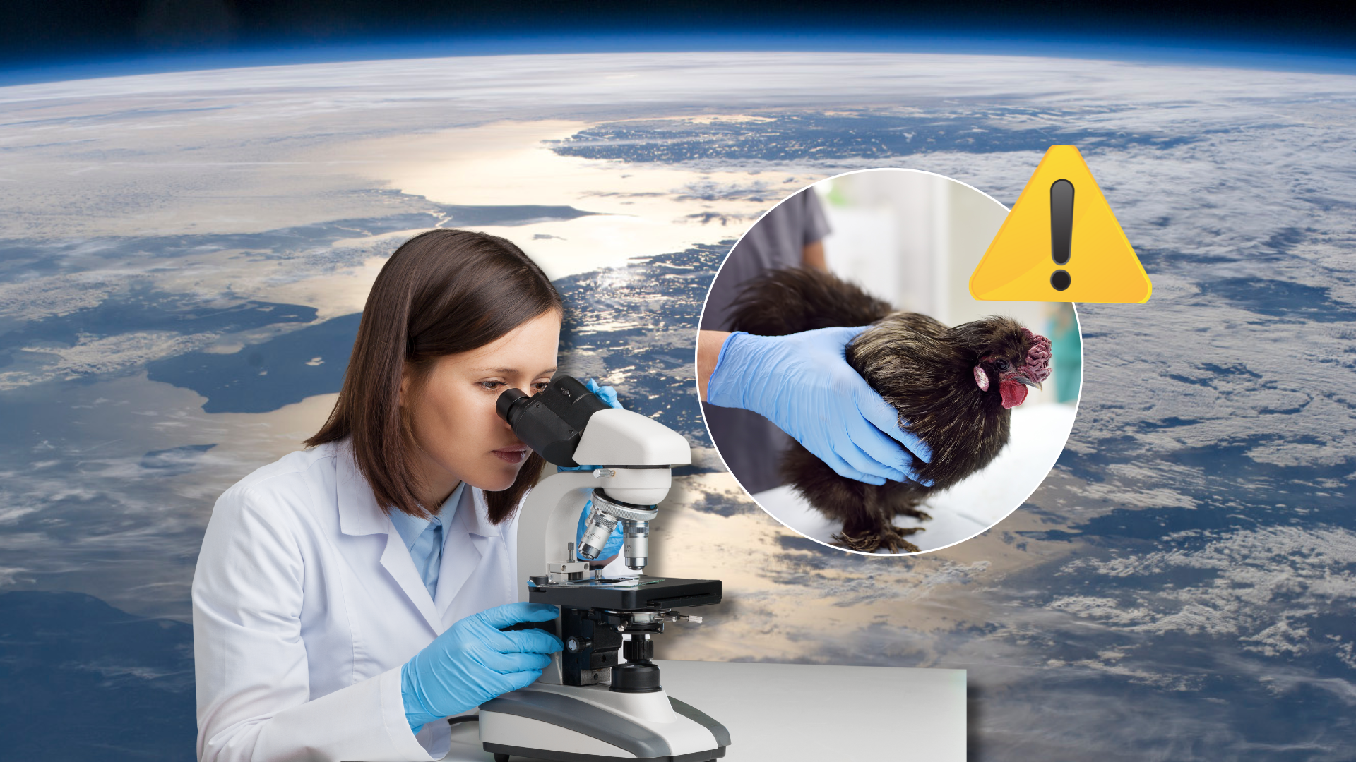 OMSA advierte sobre el riesgo de una nueva pandemia ¿de qué se trata?