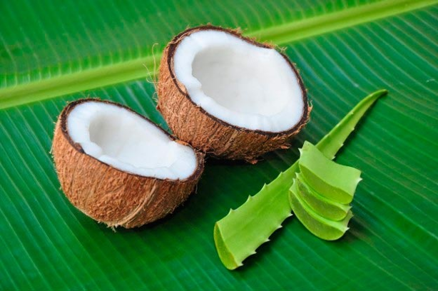 3 bálsamos naturales que puedes hacer para proteger tus labios durante el calor en Veracruz