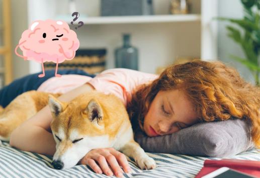 ¿Duermes con tu mascota? Esto significa según la psicología