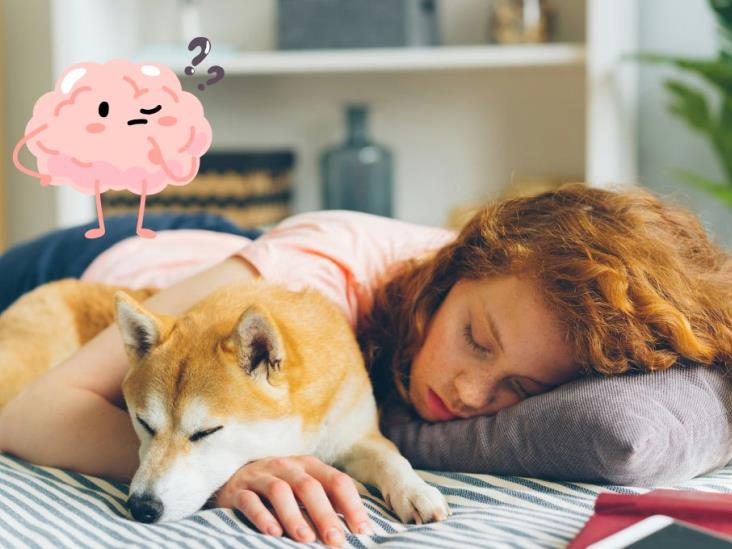 ¿Duermes con tu mascota? Esto significa según la psicología