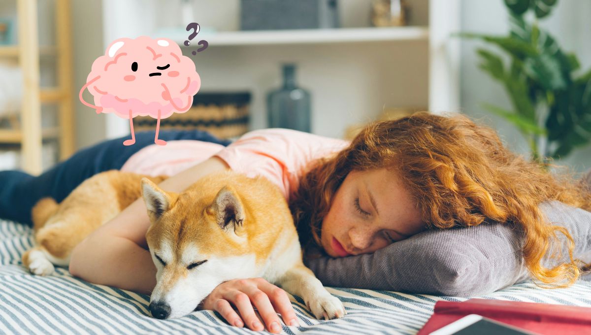 ¿Duermes con tu mascota? Esto significa según la psicología