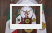 te-puede-interesar
