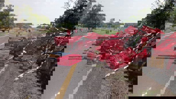 Vuelca tráiler cargado con toneladas de pollos vivos en autopista Córdoba - Veracruz