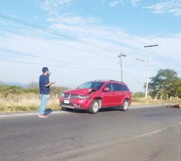 Caballo se desata de corral y casi ocasiona una tragedia en carretera de Alvarado