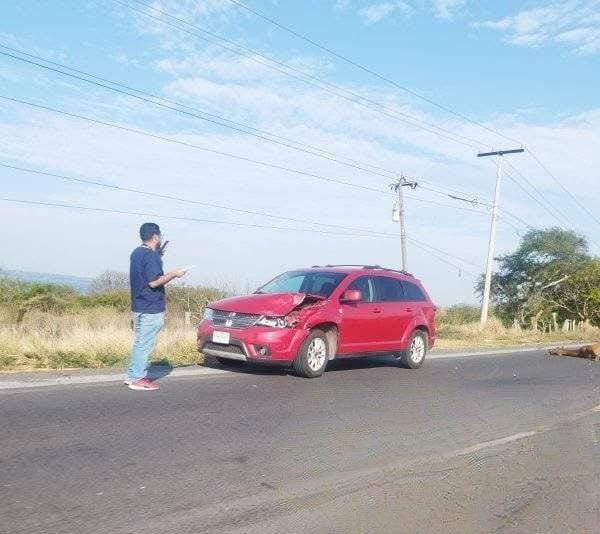 Caballo se desata de corral y casi ocasiona una tragedia en carretera de Alvarado