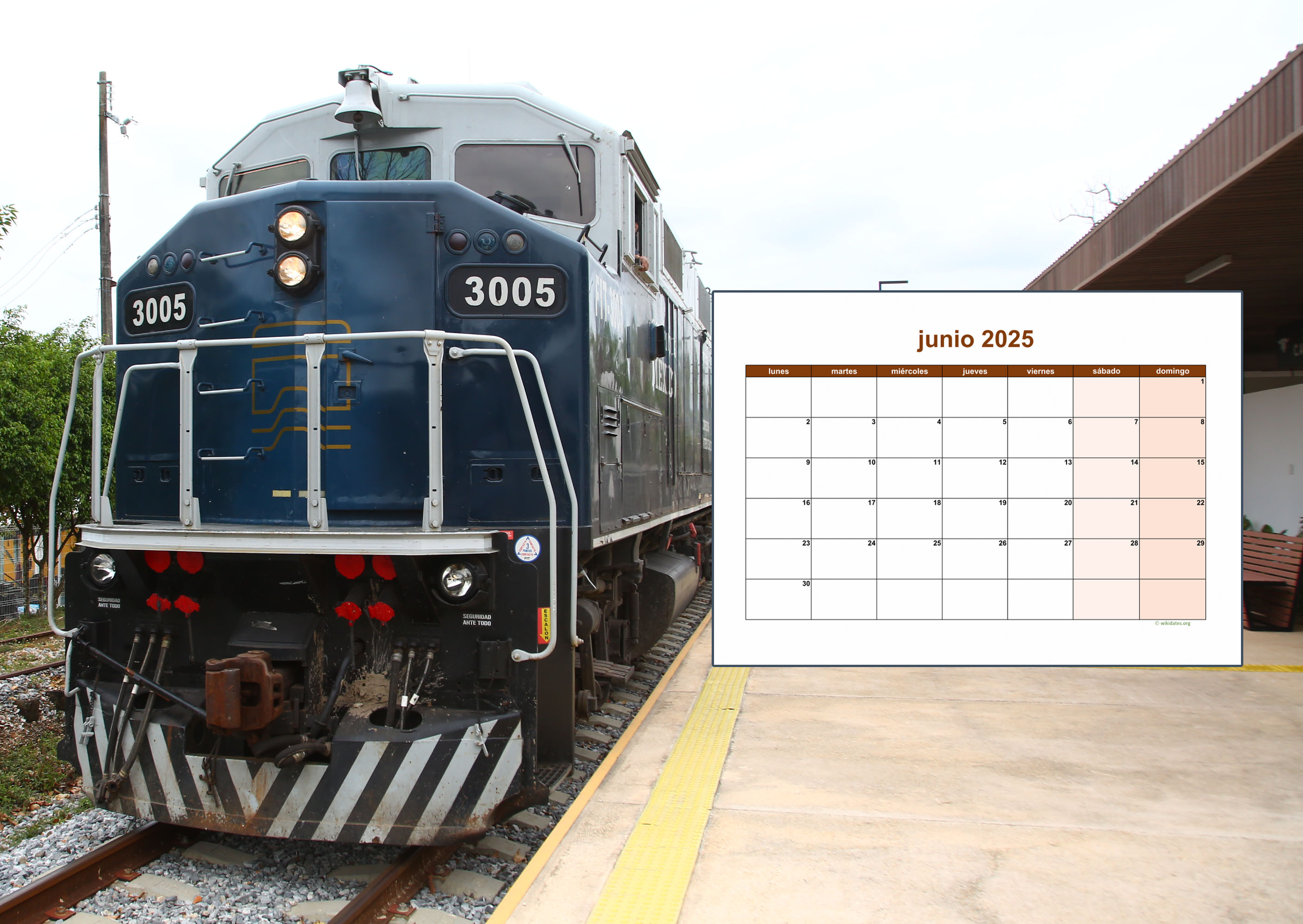 Tren Interoceánico anuncia calendario de junio para viajar entre Veracruz, Oaxaca y Chiapas