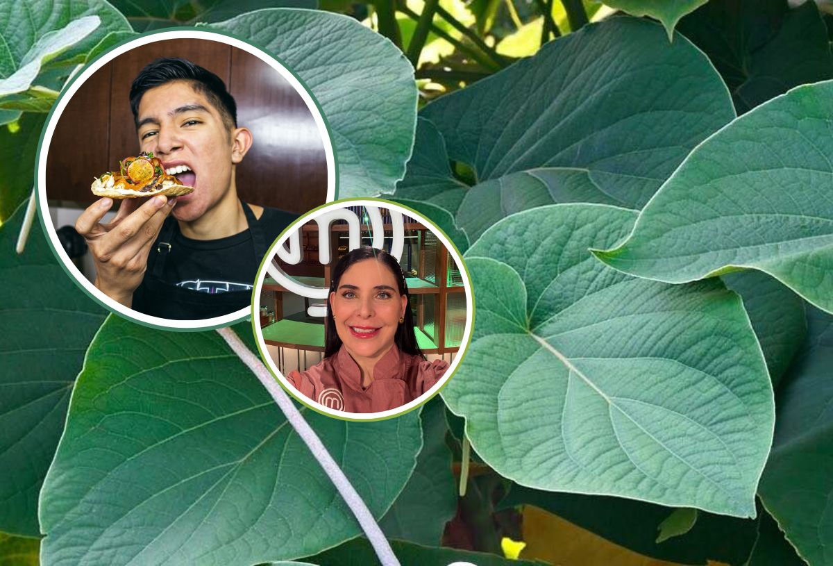 ¿El acuyo que se le pone a los tamales es tóxico?; esto dice fitoterapeuta