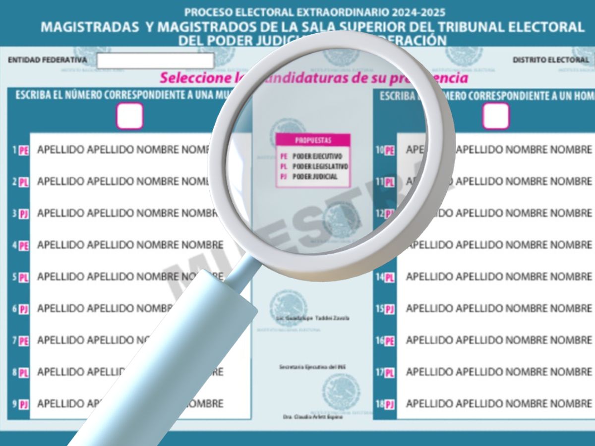 Elección judicial: ¿qué significan las letras de la boleta azul y qué se elige?