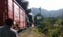 Camioneta arde en la Banderilla–Naolinco y paraliza vialidad