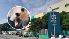IMSS de Veracruz informa sobre la pelea entre mujeres en clínica de Díaz Mirón