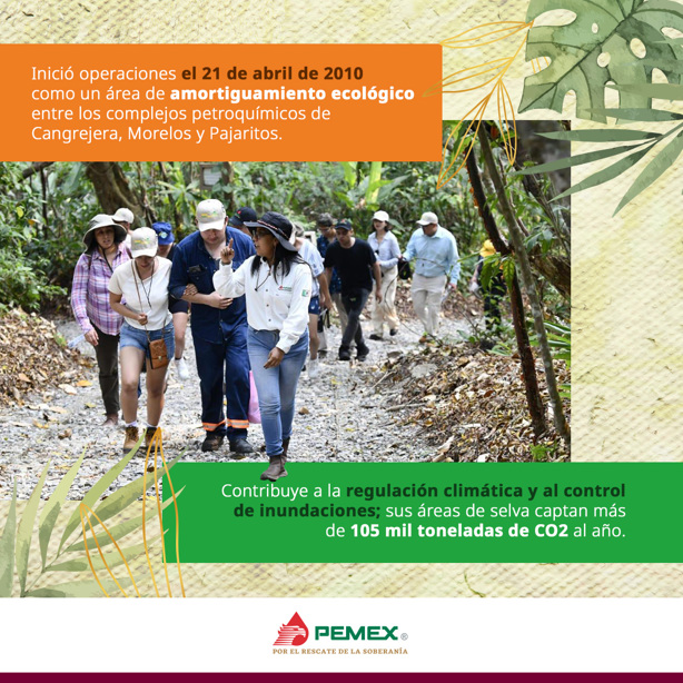 Este parque de Pemex es considerado emblema de la conservación ambiental en Coatzacoalcos