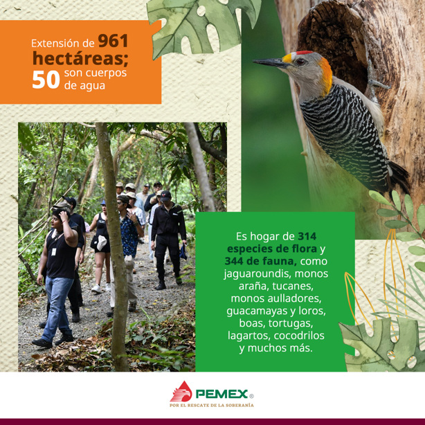 Este parque de Pemex es considerado emblema de la conservación ambiental en Coatzacoalcos