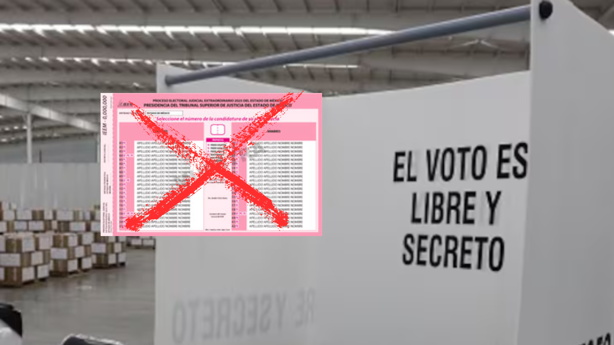 Elecciones 2025: ¿Cuál es la diferencia entre voto nulo y voto anulado?