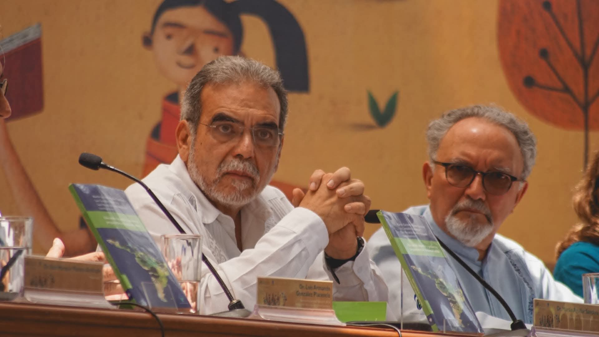 Educación Superior y gobiernos progresistas en América Latina, con grandes desafíos