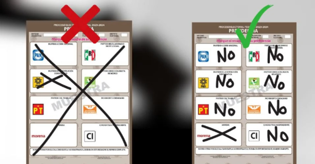 Elecciones 2025: ¿no quieres votar?, así se considerará el voto nulo 
