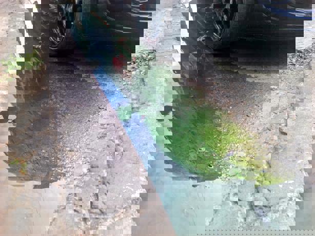 Alertan por fugas de aguas negras en calles del Centro de Veracruz