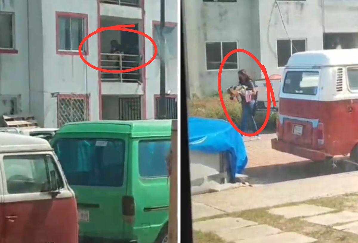 Se viraliza operativo de la FGR en un departamento de Veracruz | VIDEO