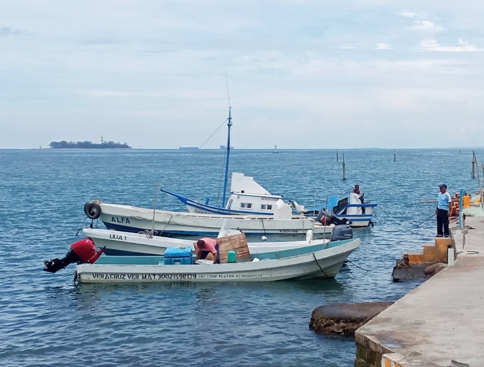Pescadores de Veracruz logran capturas para sobrevivir ante pronostico de mal clima