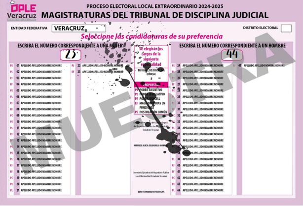 Estos serán los votos válidos y nulos en la elección judicial: INE