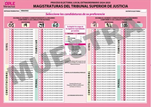Estos serán los votos válidos y nulos en la elección judicial: INE