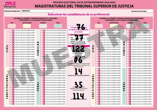 Estos serán los votos válidos y nulos en la elección judicial: INE
